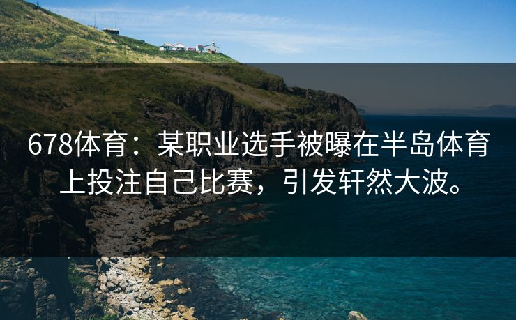 678体育：某职业选手被曝在半岛体育上投注自己比赛，引发轩然大波。