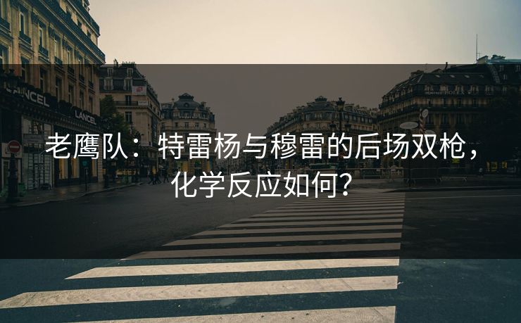 老鹰队：特雷杨与穆雷的后场双枪，化学反应如何？
