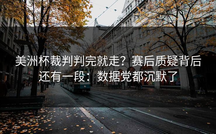 美洲杯裁判判完就走？赛后质疑背后还有一段：数据党都沉默了