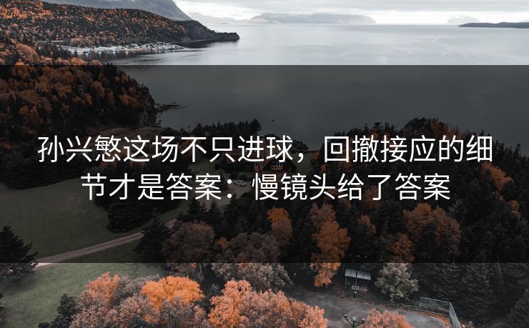 孙兴慜这场不只进球，回撤接应的细节才是答案：慢镜头给了答案